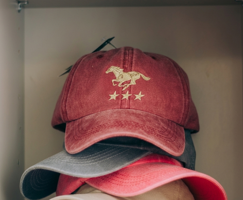 Burgundy Washed cap